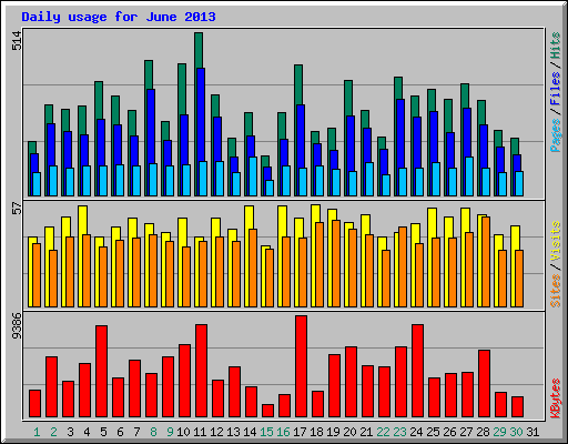 Daily usage for June 2013