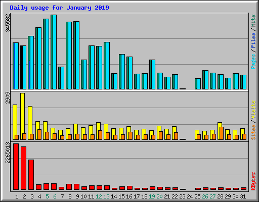 Daily usage for January 2019