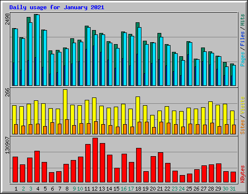 Daily usage for January 2021