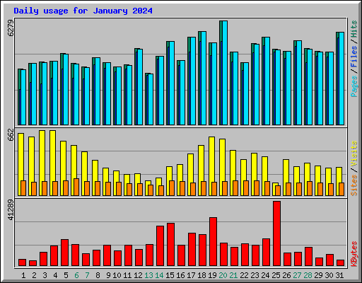 Daily usage for January 2024