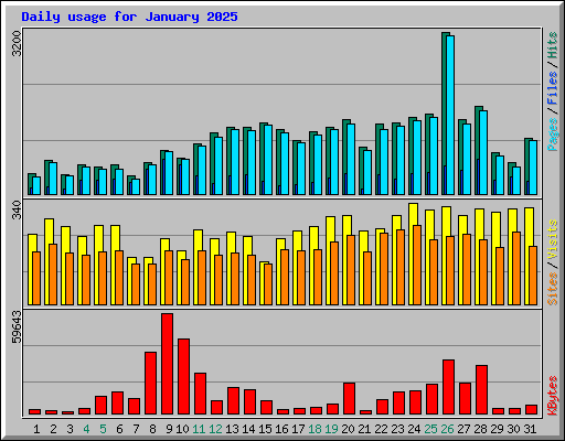 Daily usage for January 2025