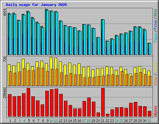 Daily usage for January 2026