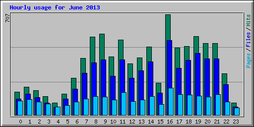 Hourly usage for June 2013