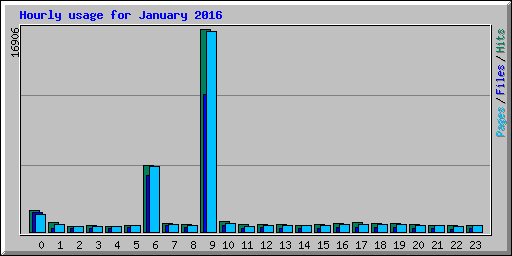 Hourly usage for January 2016