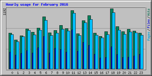 Hourly usage for February 2016