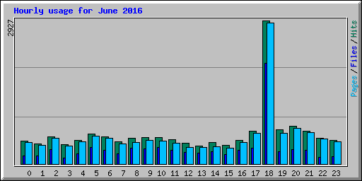 Hourly usage for June 2016