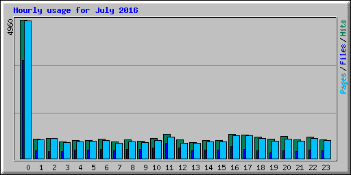 Hourly usage for July 2016