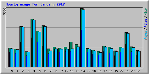 Hourly usage for January 2017