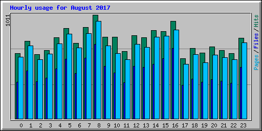 Hourly usage for August 2017