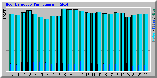 Hourly usage for January 2019