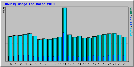 Hourly usage for March 2019