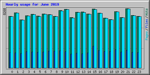 Hourly usage for June 2019