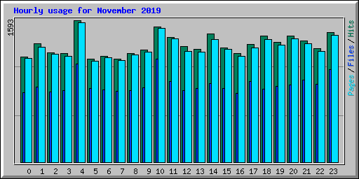 Hourly usage for November 2019