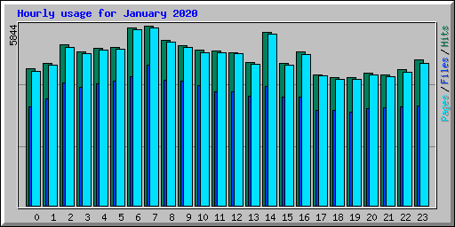 Hourly usage for January 2020