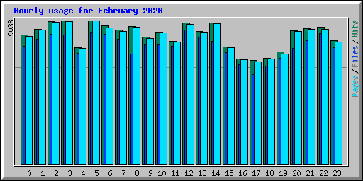 Hourly usage for February 2020