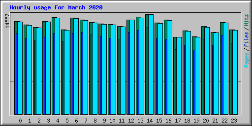 Hourly usage for March 2020