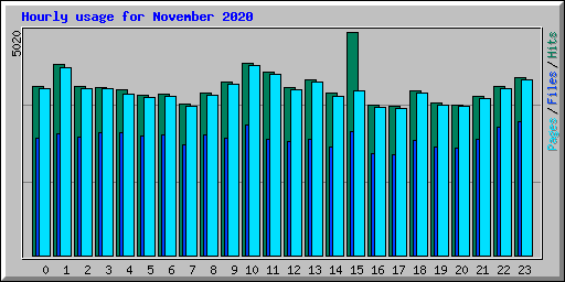 Hourly usage for November 2020