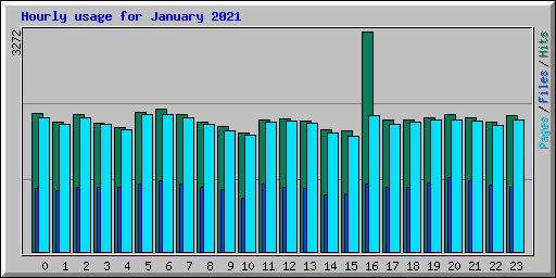 Hourly usage for January 2021