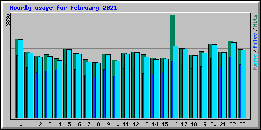 Hourly usage for February 2021