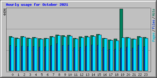 Hourly usage for October 2021