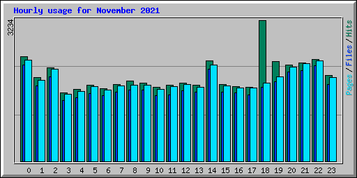 Hourly usage for November 2021