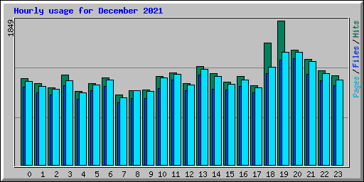 Hourly usage for December 2021