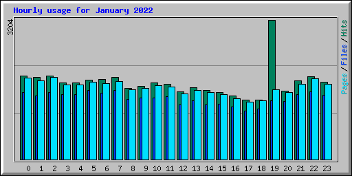 Hourly usage for January 2022