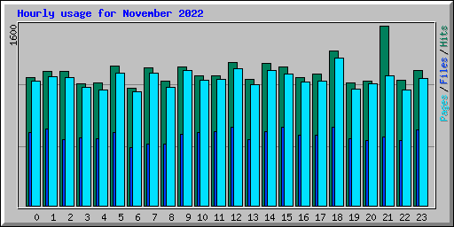 Hourly usage for November 2022