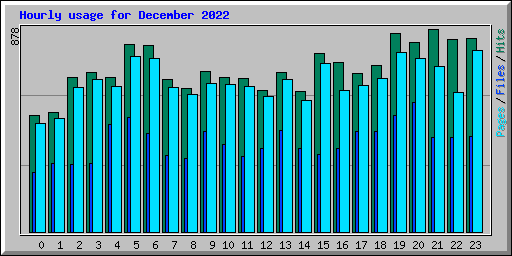 Hourly usage for December 2022