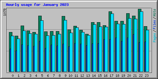 Hourly usage for January 2023