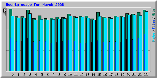 Hourly usage for March 2023