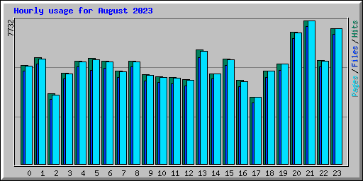 Hourly usage for August 2023