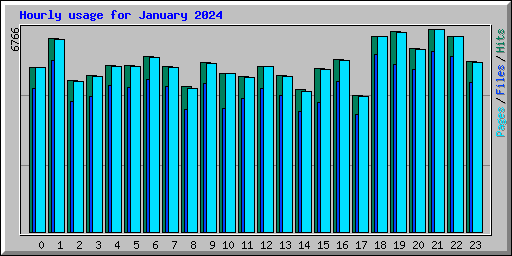 Hourly usage for January 2024