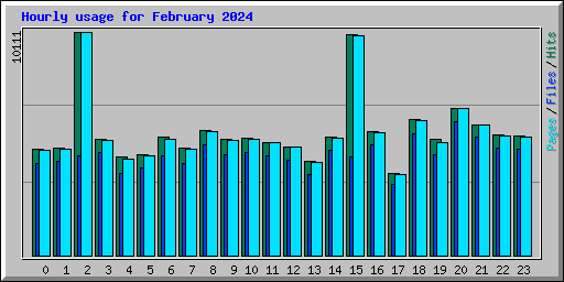 Hourly usage for February 2024