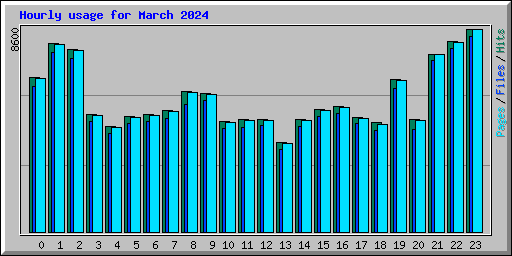 Hourly usage for March 2024