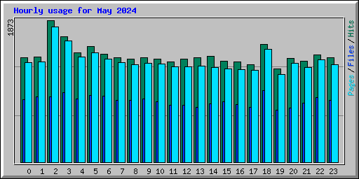 Hourly usage for May 2024