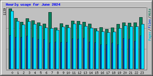Hourly usage for June 2024