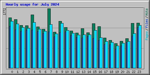 Hourly usage for July 2024