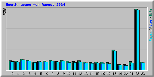 Hourly usage for August 2024