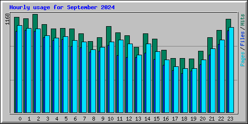 Hourly usage for September 2024
