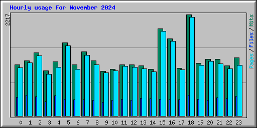 Hourly usage for November 2024