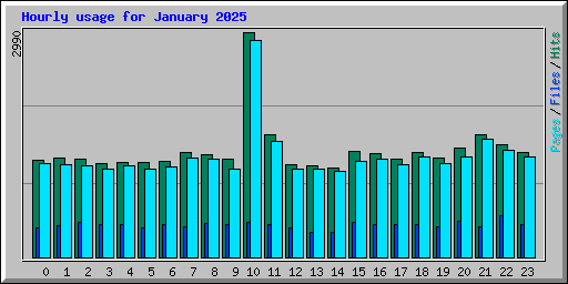 Hourly usage for January 2025