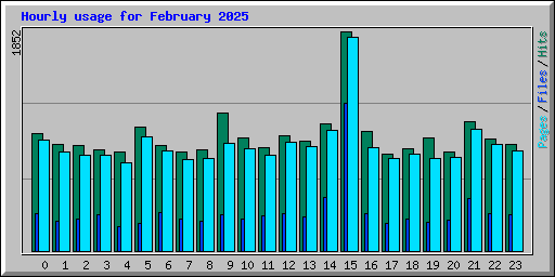 Hourly usage for February 2025