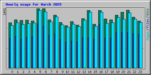 Hourly usage for March 2025