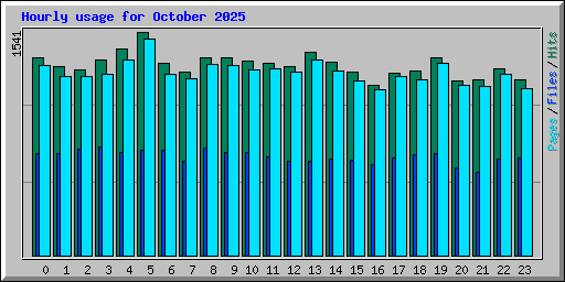Hourly usage for October 2025