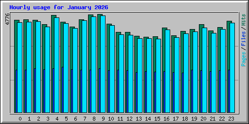 Hourly usage for January 2026