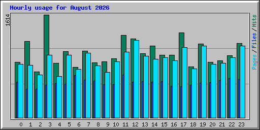 Hourly usage for August 2026